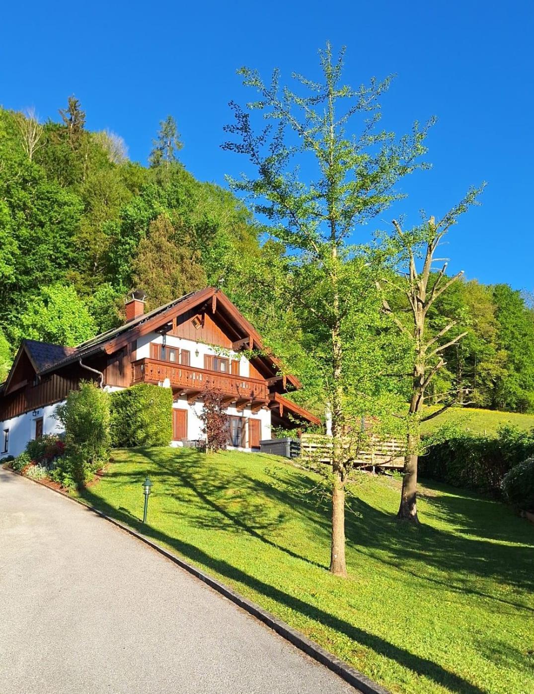 Luxus Alpenparadies Nahe Salzburg Sauna & Whirlpool Adnet Exteriör bild